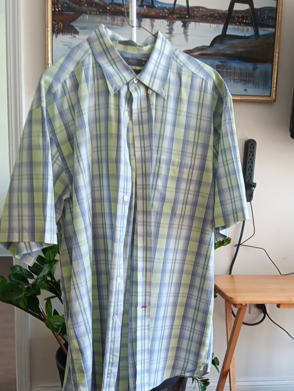 Daniel Cremirux Men's Button-Down Shirt - Light Green/Blue XL